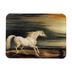 Marengo het Witte Paard Magneet
