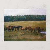 Mares and Foals Original Art Briefkaart (Voorkant)