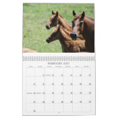 Mares & Foals Agenda Kalender (Feb 2027)