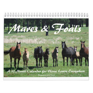 Mares & Foals Agenda Kalender