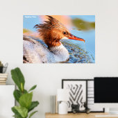 Marganser Eend Poster (Thuiskantoor)