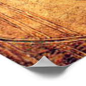 Margaret Macdonald White Rose Red Rose Poster (Hoek)