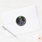 Margay (Felis wiedi) kitten in boom Ronde Sticker (Envelop)