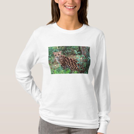 Margay, Leopardus wiedi, Inheems in Mexico T-shirt (Voorkant)