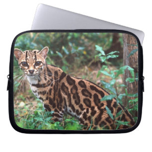 Margay, Leopardus wiedi, Inheems in Mexico tot in Laptop Sleeve