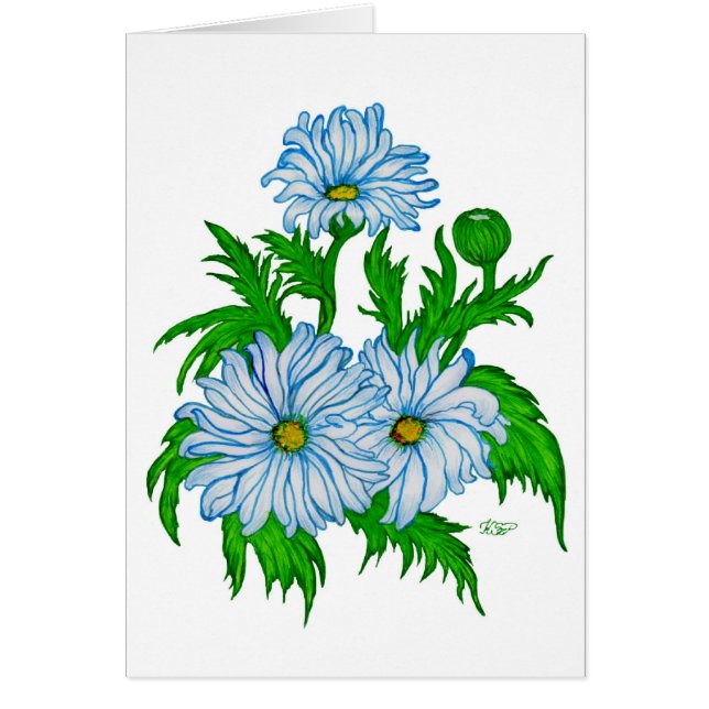 Margeriten Blume (Devant)