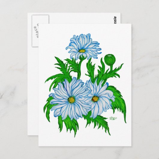 Margeriten Blume Briefkaart (Voorkant / Achterkant)
