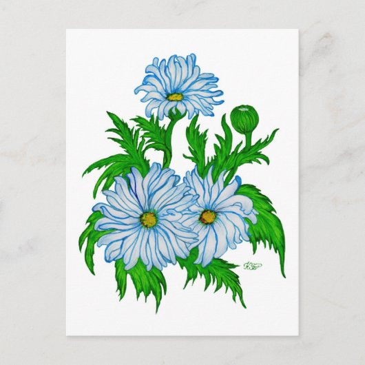 Margeriten Blume Briefkaart (Voorkant)