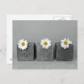 Margeriten Briefkaart (Voorkant / Achterkant)