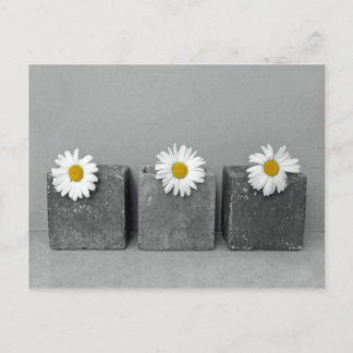 Margeriten Briefkaart