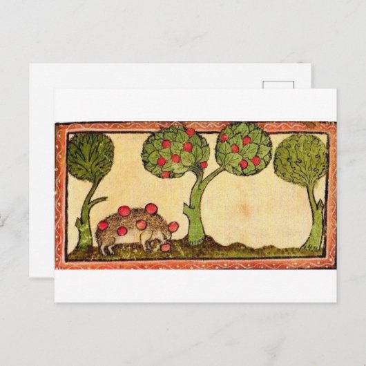 Marginalia Hedgehog Briefkaart (Voorkant / Achterkant)