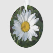 Marguerite blanche (devant)