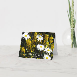 Marguerite blanche Merci