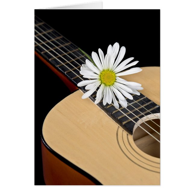 Marguerite blanche sur guitare (Devant)