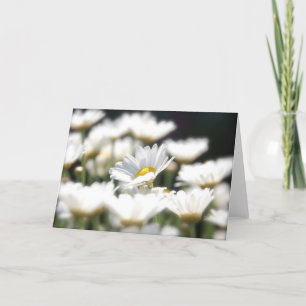 Marguerite Daisy Card Kaart