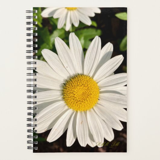Marguerite d'un planificateur. (Devant)