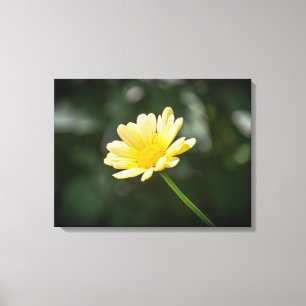 Marguerite jaune vers le haut gros papier toile