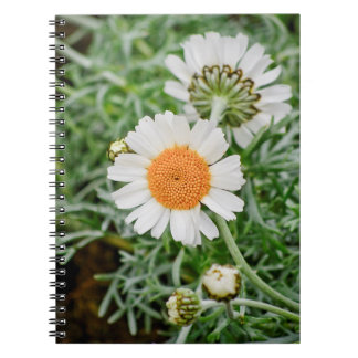 Marguerite Notitieboek