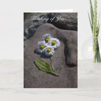 "Marguerite" pensant à vous. Carte