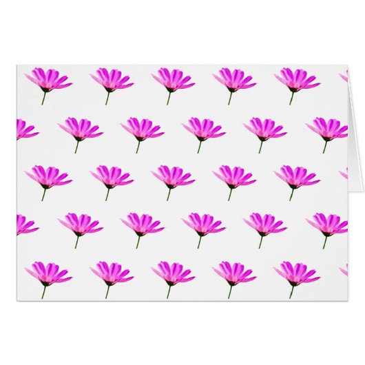 Marguerite rose (Devant horizontal)