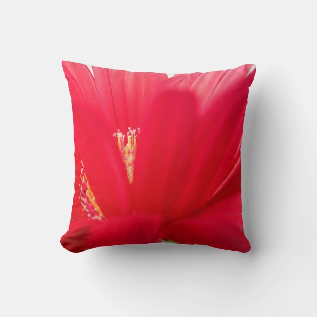 marguerite rouge : coussin rouge presque solide (Recto)