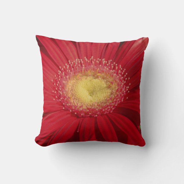 marguerite rouge : coussin rouge presque solide (Recto)