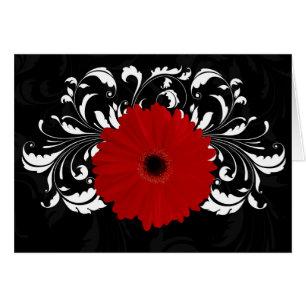 Marguerite rouge lumineuse de Gerbera sur le noir