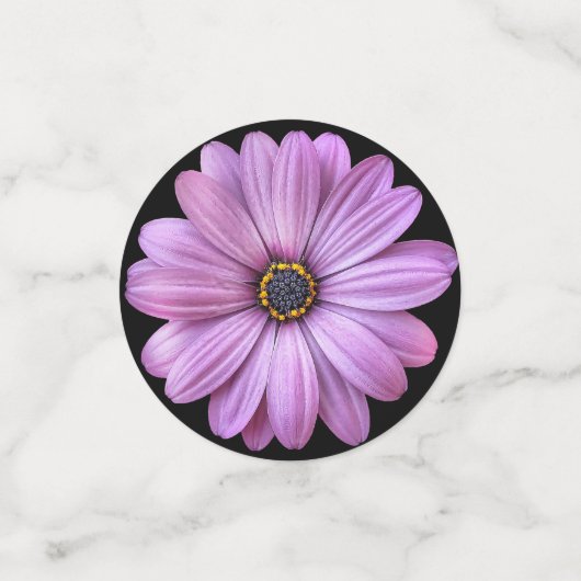 Marguerite Violette sur Confettis Noirs (Petit recto)