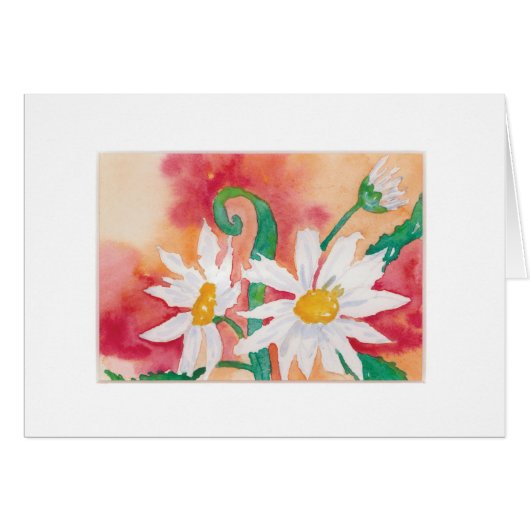 Marguerites (Devant horizontal)