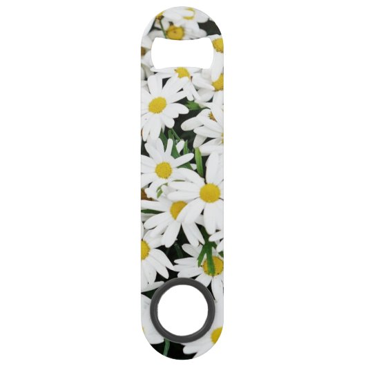 Marguerites (Devant)
