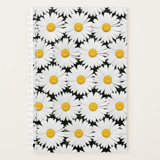 Marguerites (Devant)