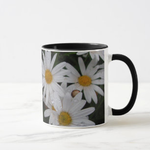Marguerites après tasse de pluie