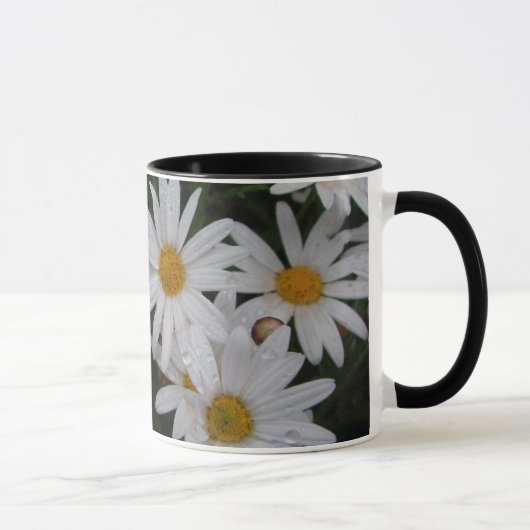 Marguerites après tasse de pluie (Droite)