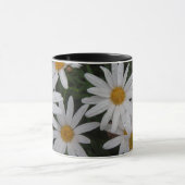 Marguerites après tasse de pluie (Centre)