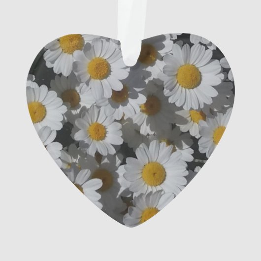 Marguerites blanches acryliques (dos)