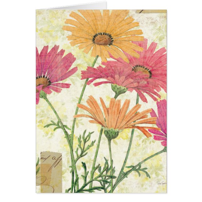 Marguerites décoratives (Devant)