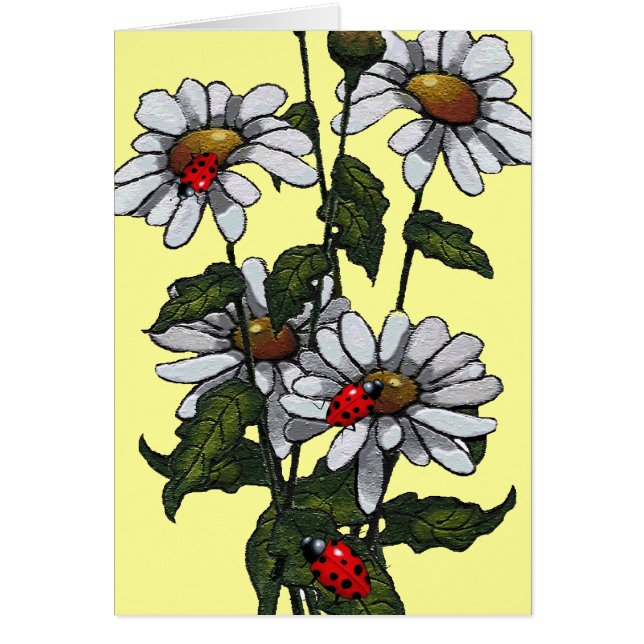Marguerites et coccinelles lumineuses : Art (Devant)