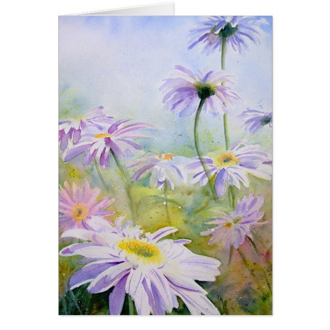 Marguerites géantes (Devant)