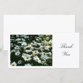 Marguerites II - Merci (Devant / Derrière)