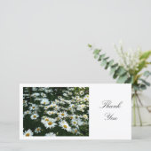 Marguerites II - Merci (Debout devant)