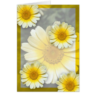 Marguerites jaunes
