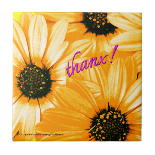 Marguerites jaunes/oranges, merci ! - Carreau de