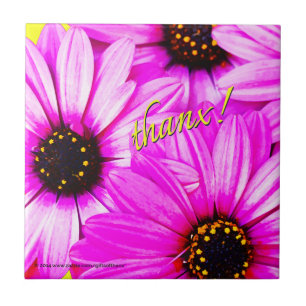 Marguerites pourpres, merci ! - Carreau de