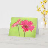 Marguerites roses de Gerber sur la carte de voeux (Fleur jaune)