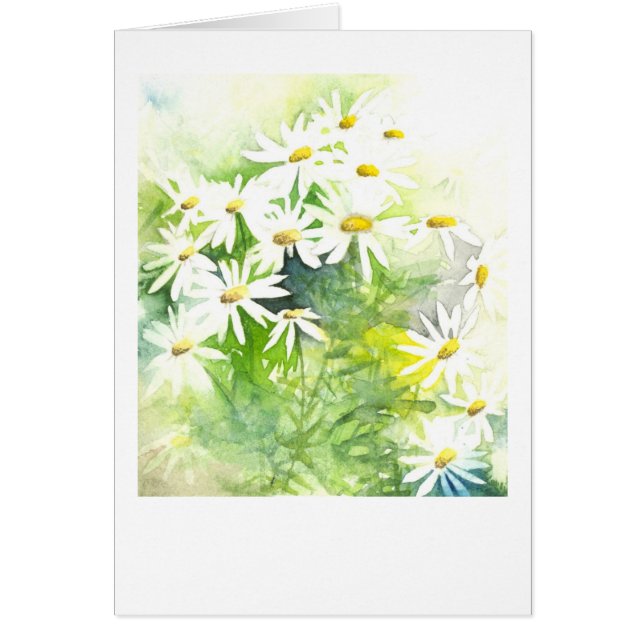 Marguerites sur le vert (Devant)