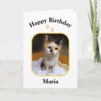 Maria Calico Kitten Bonne carte d'anniversaire