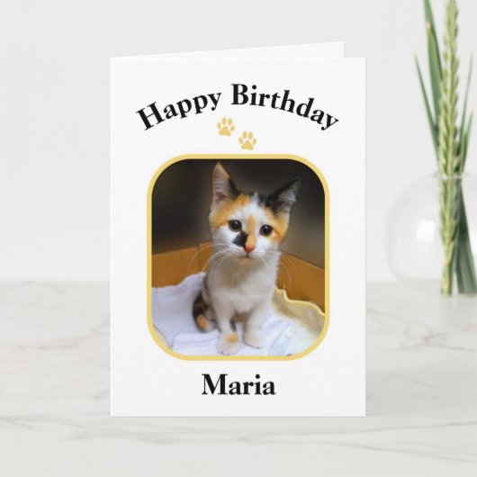 Maria Calico Kitten Bonne carte d'anniversaire (Devant)
