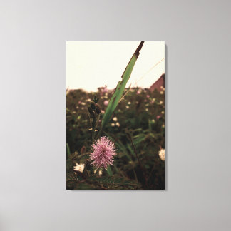 Maria-fecha-a-porta -FILTRO Canvas Afdruk