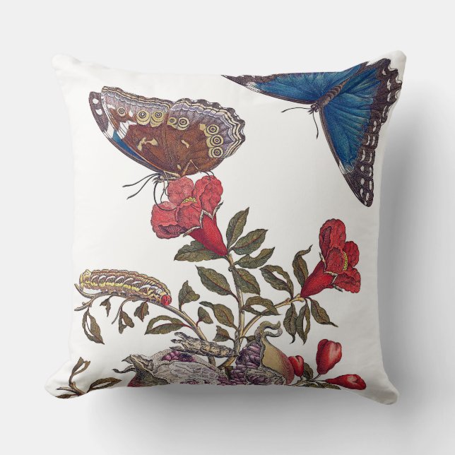 Maria Merian Papillons Coussins (Recto)