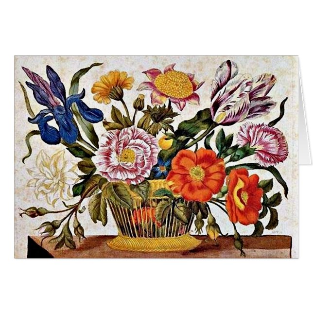 Maria Sibylla Merian - De der Raupen Wunderbare (Devant horizontal)